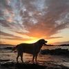 lincolnjohnson